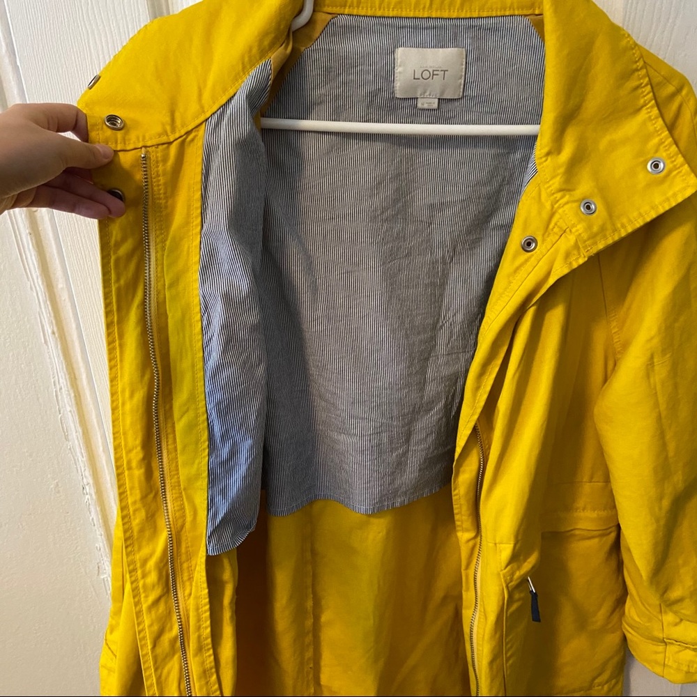 LOFT Jacket - Picture 3 of 6